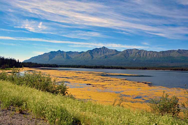 yellow on lake